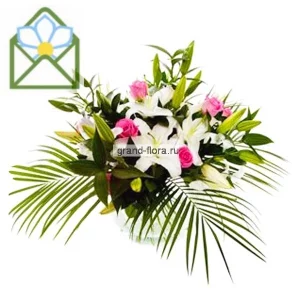 Утренний поцелуй